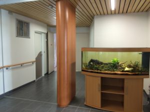 aquarium, couloir, accueil
